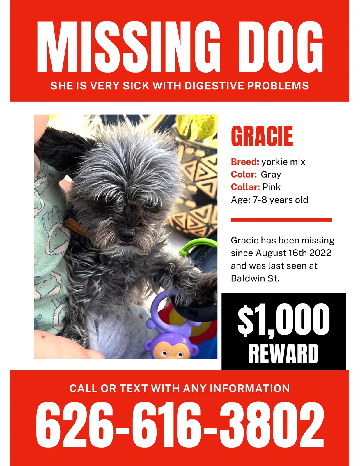 Lost dog in Los Angeles, CA, 90031