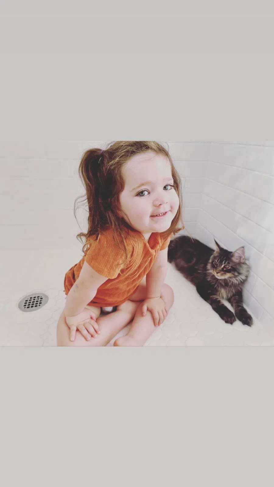 Lost cat in Dallas, TX, 75223