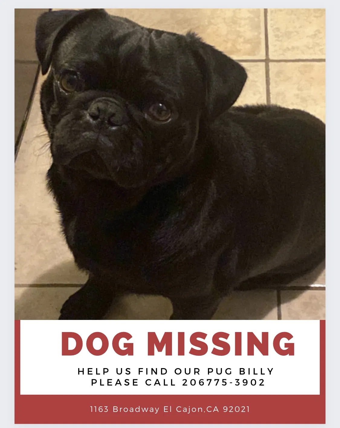Lost dog in El Cajon, CA, 92021