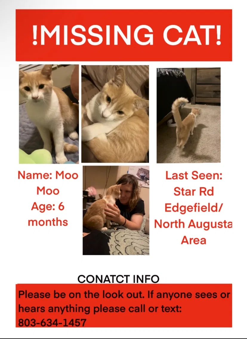 Lost cat in Unknown, SC, 28924