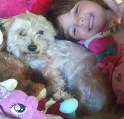 Lost dog in Defuniak Springs, FL, 32433