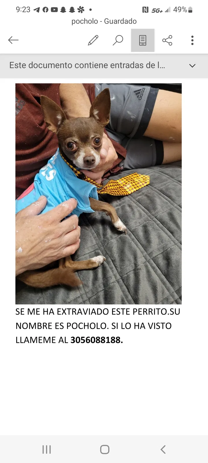 Lost dog in Hialeah, FL, 33010