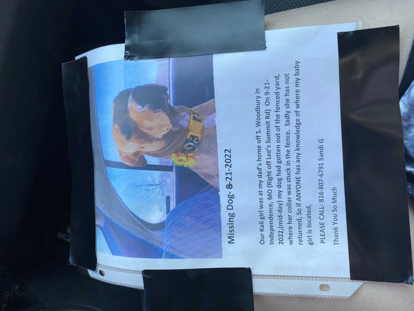 Lost dog in Independence, MO, 64050