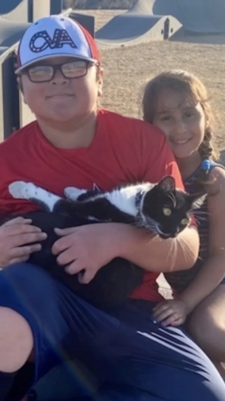 Lost cat in Chula Vista, CA, 91911