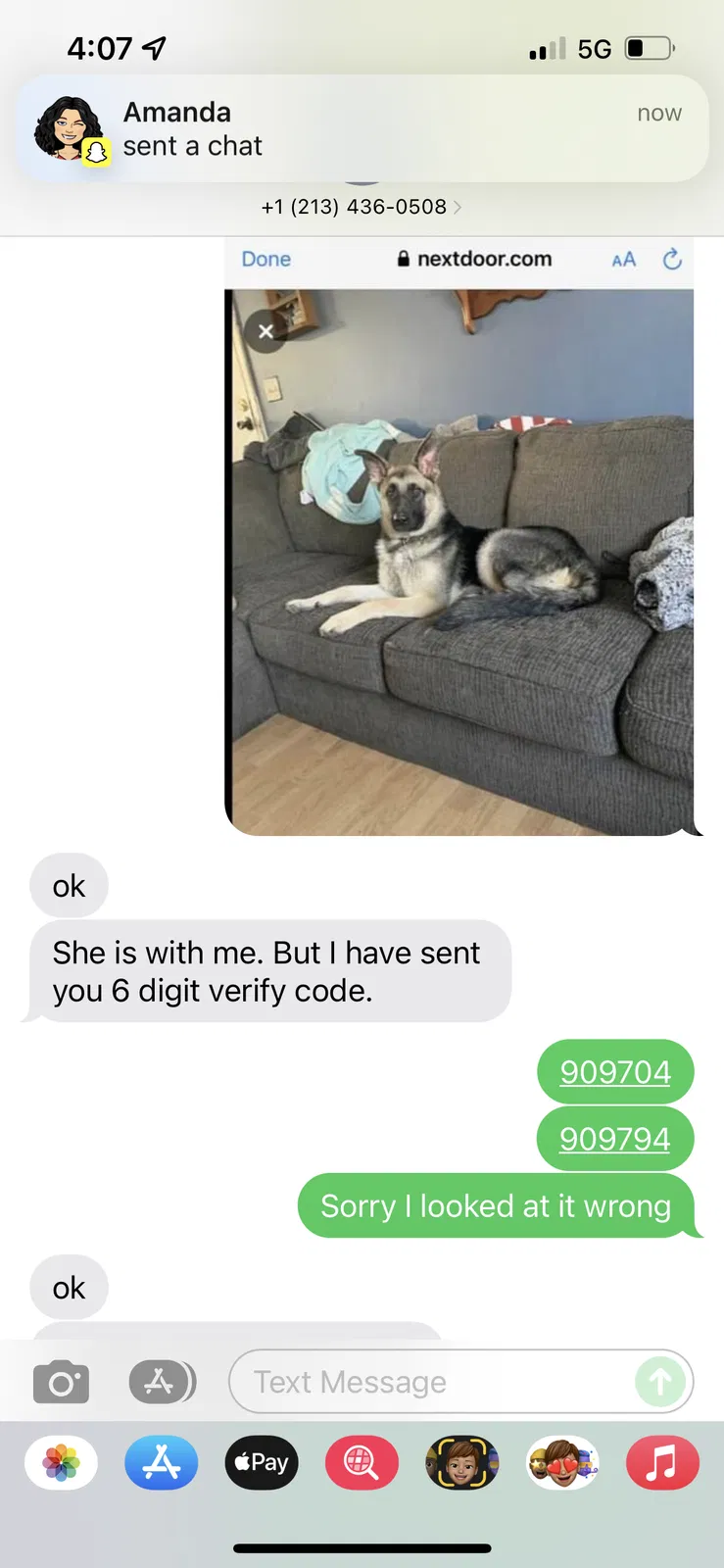 Lost dog in Dayton, OH, 45439