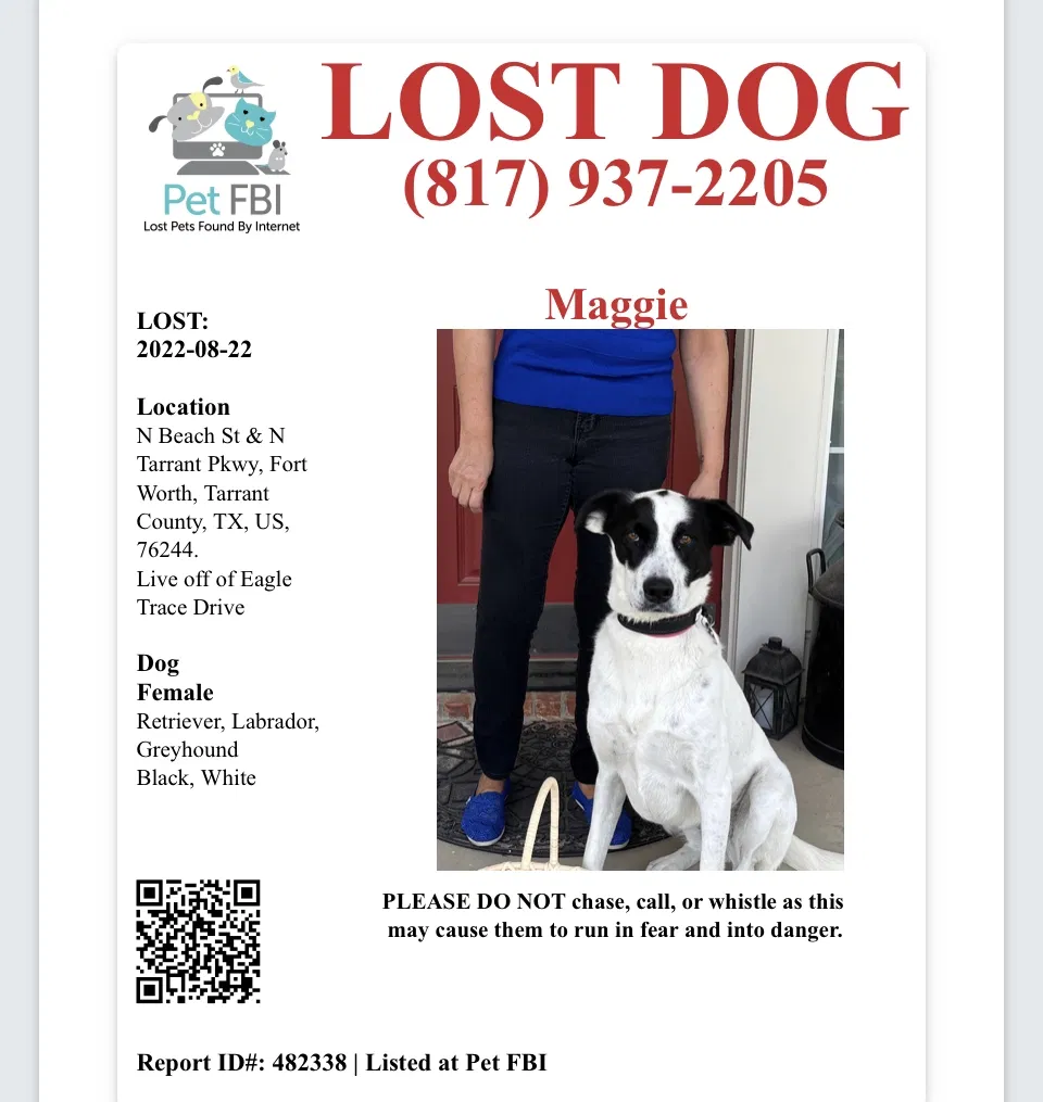 Lost dog in Keller, TX, 76244
