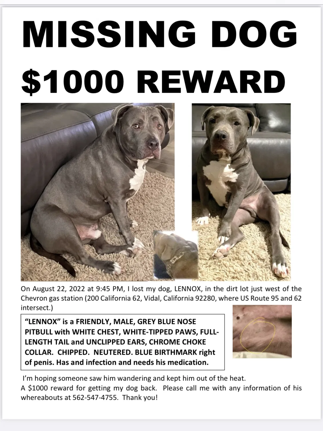 Lost dog in Vidal, CA, 92280