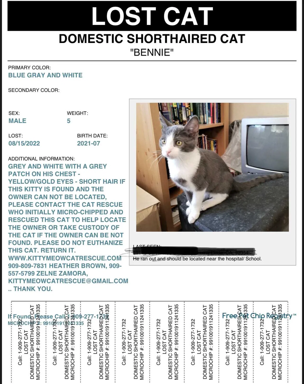 Lost cat in Loma Linda, CA, 92354