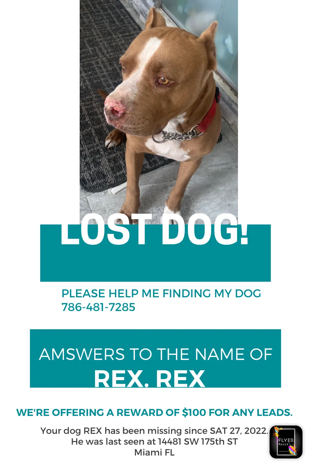 Lost dog in Miami, FL, 33177