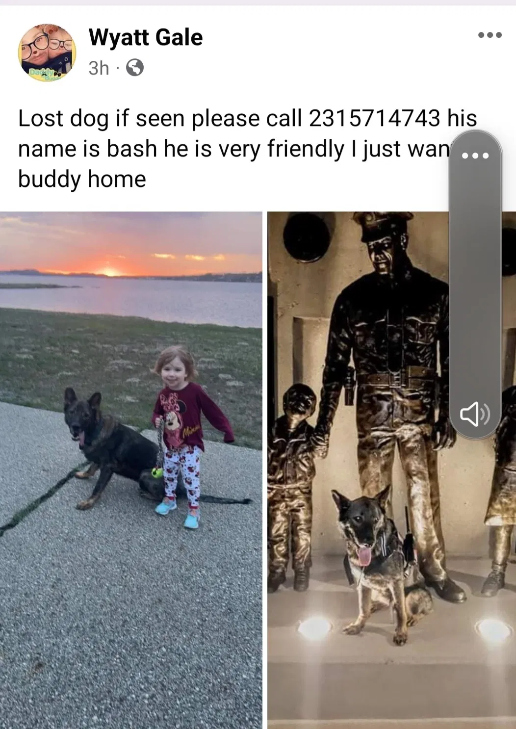 Lost dog in Muskegon, MI, 49442