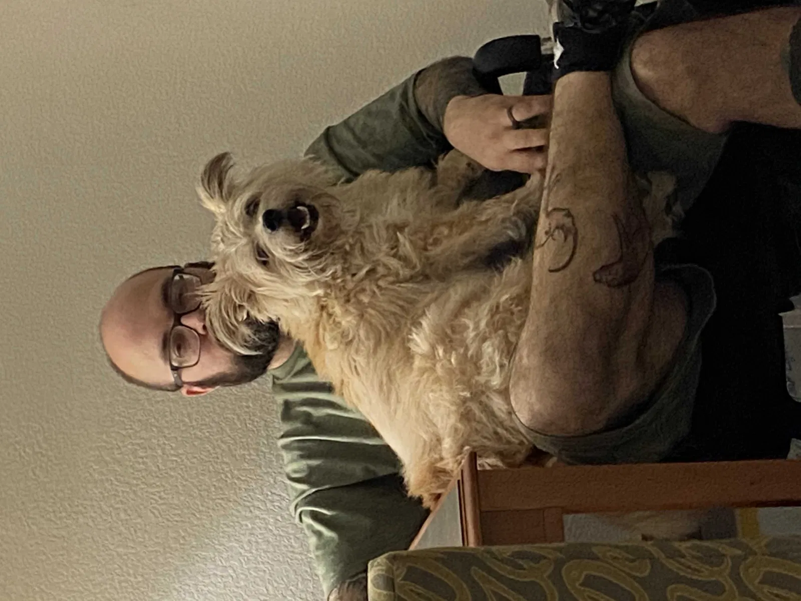 Lost dog in Fort Worth, TX, 76116