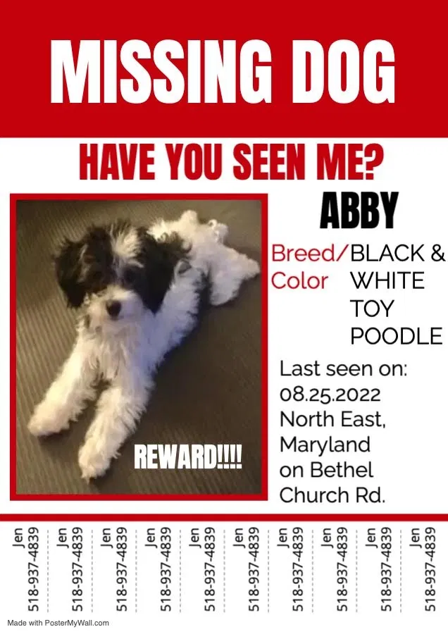 Lost dog in North East, MD, 21901