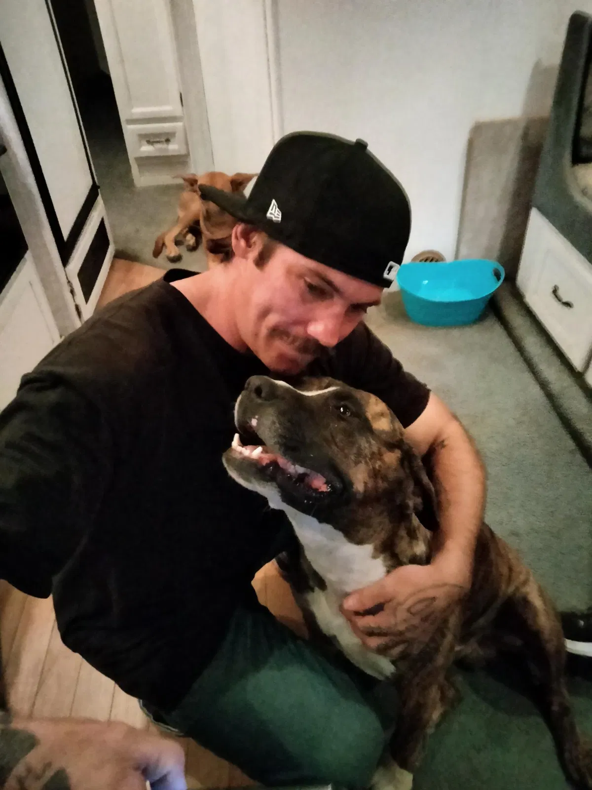 Lost dog in Lancaster, CA, 93536