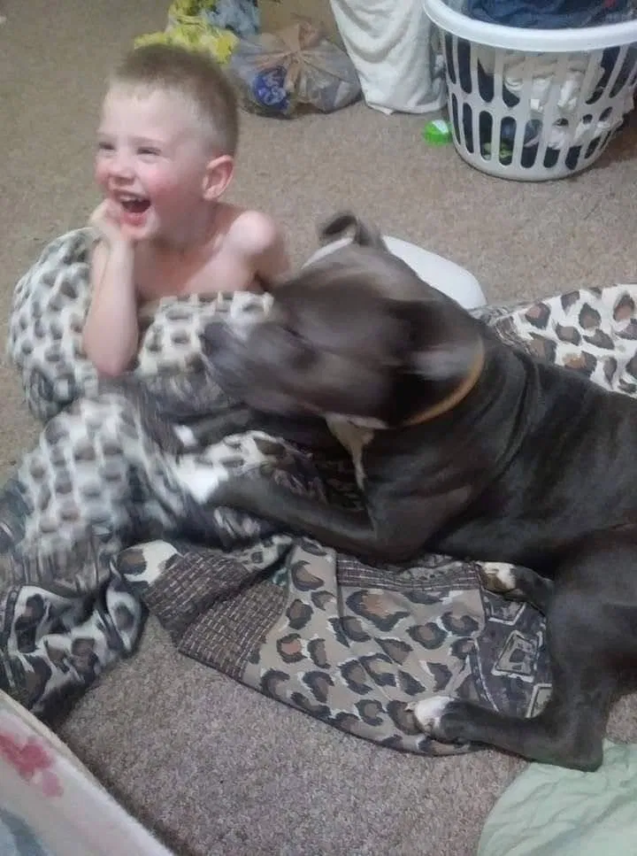 Lost dog in Mascot, TN, 37806