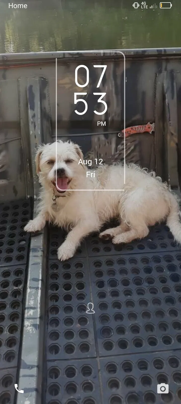 Lost dog in Unknown, GA, 30254