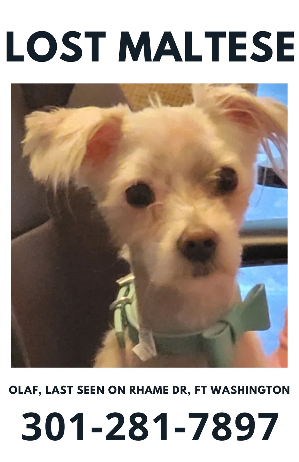 Lost dog in Fort Washington, MD, 20744