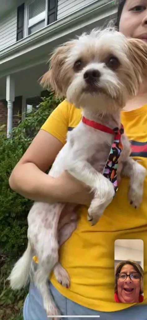 Lost dog in Fayetteville, NC, 28314