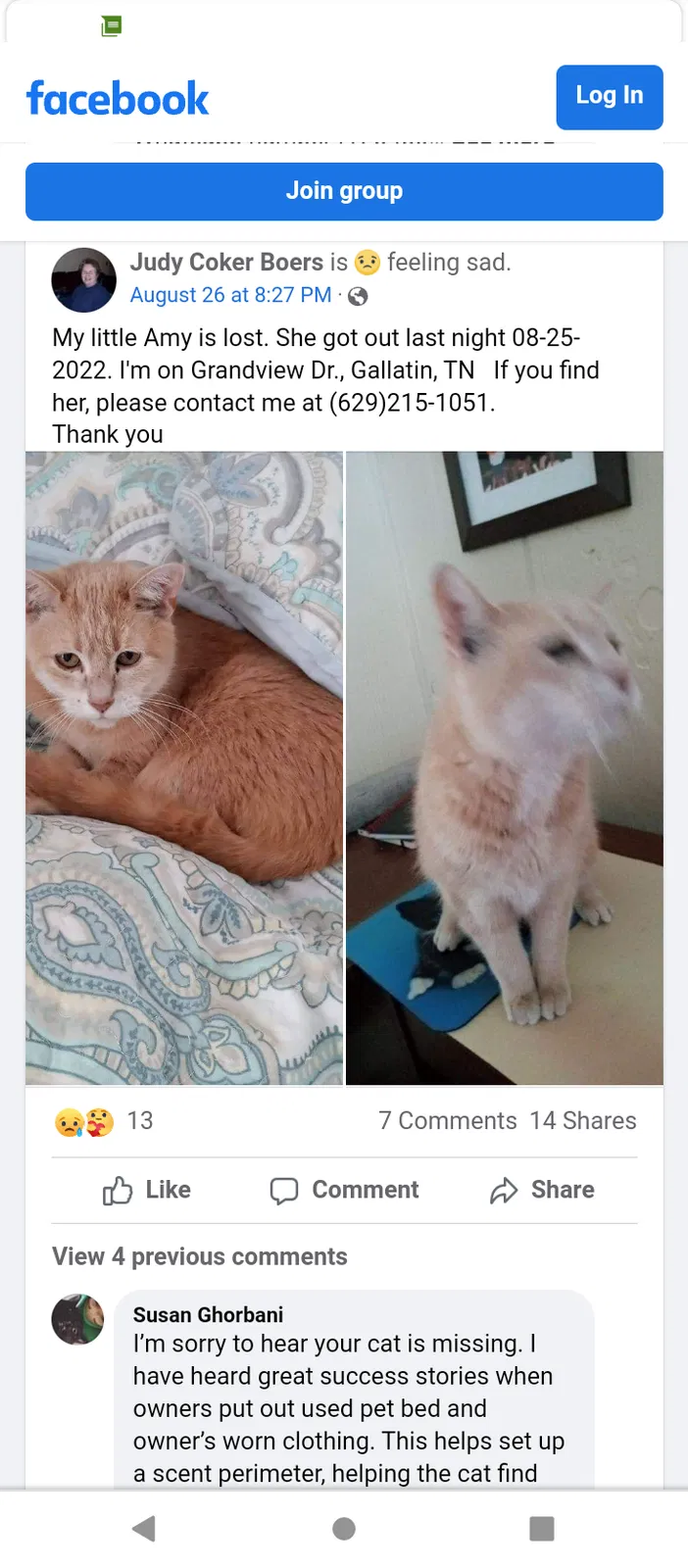 Lost cat in Gallatin, TN, 37066