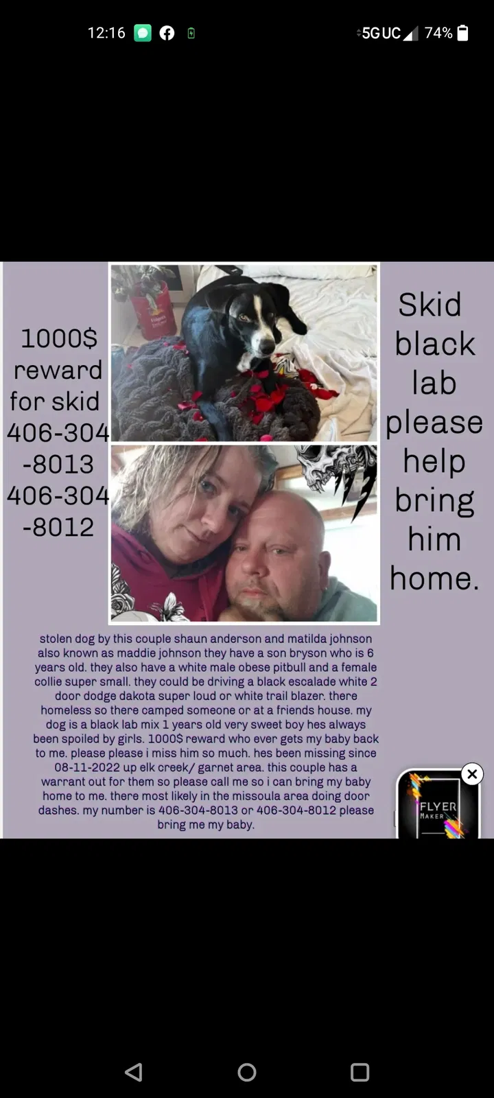 Lost dog in Missoula, MT, 59804