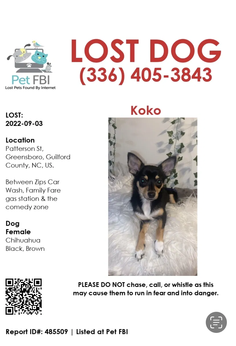 Lost dog in Greensboro, NC, 27407