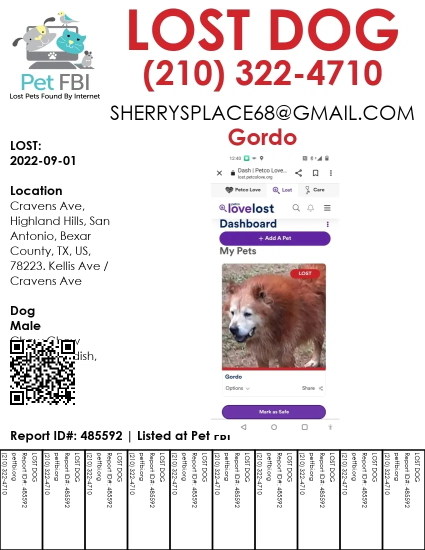 Lost dog in San Antonio, TX, 78223