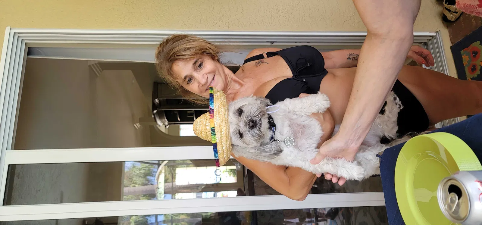 Lost dog in Bonita Springs, FL, 34135
