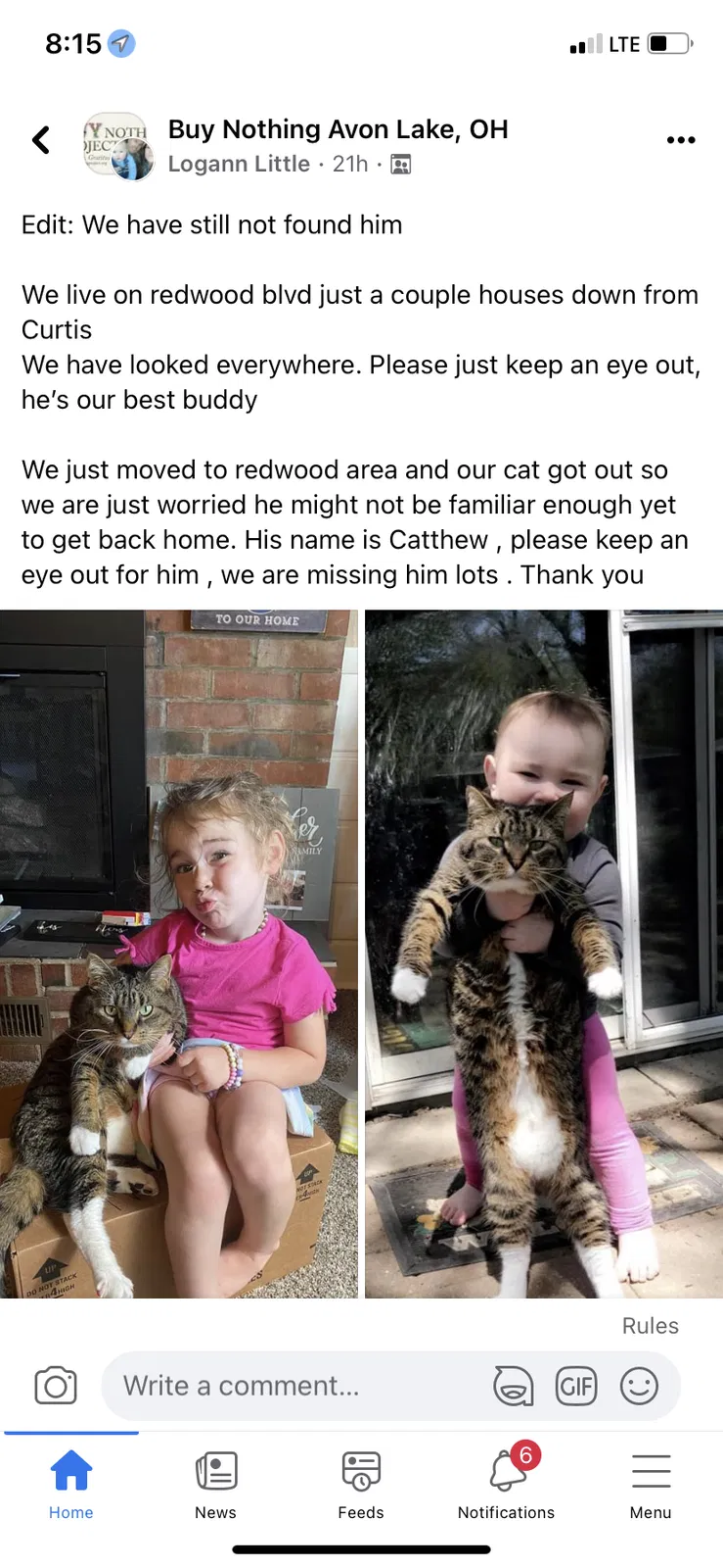 Lost cat in Avon Lake, OH, 44012