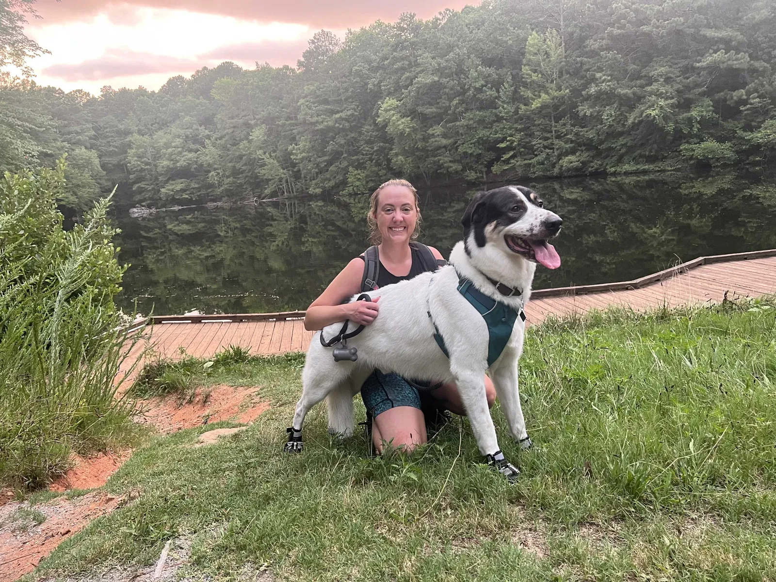 Lost dog in Tucker, GA, 30084