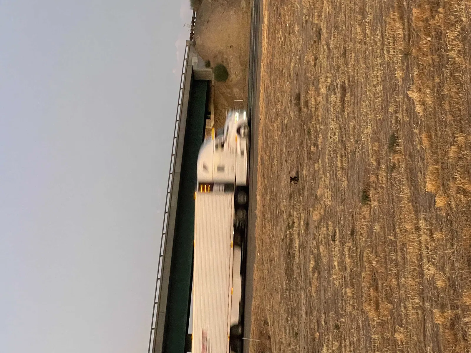 Found dog in Firebaugh, CA, 93622