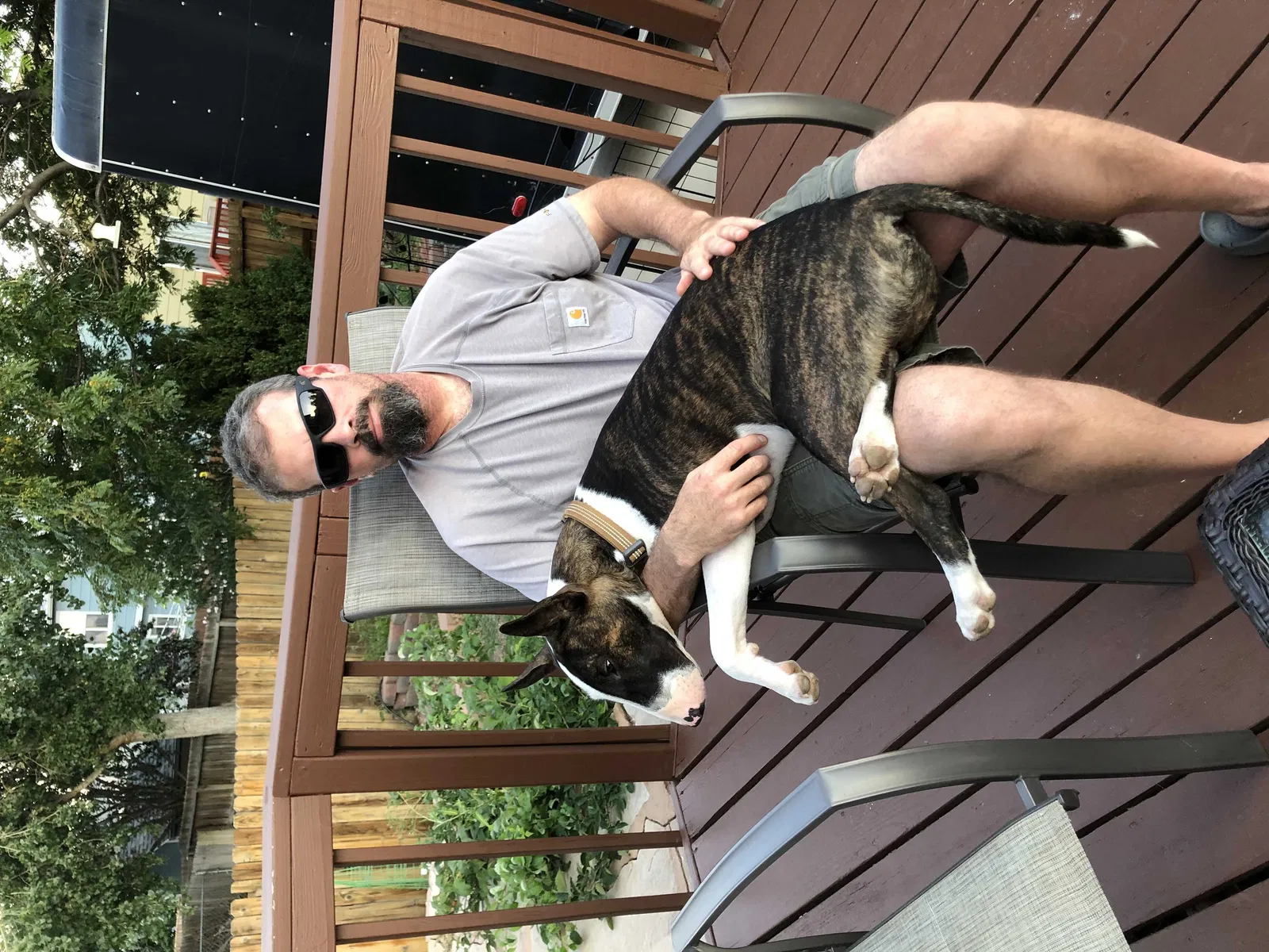 Lost dog in Colorado Springs, CO, 80906