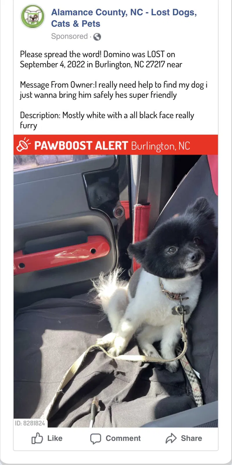 Lost dog in Unknown, NC, 27273