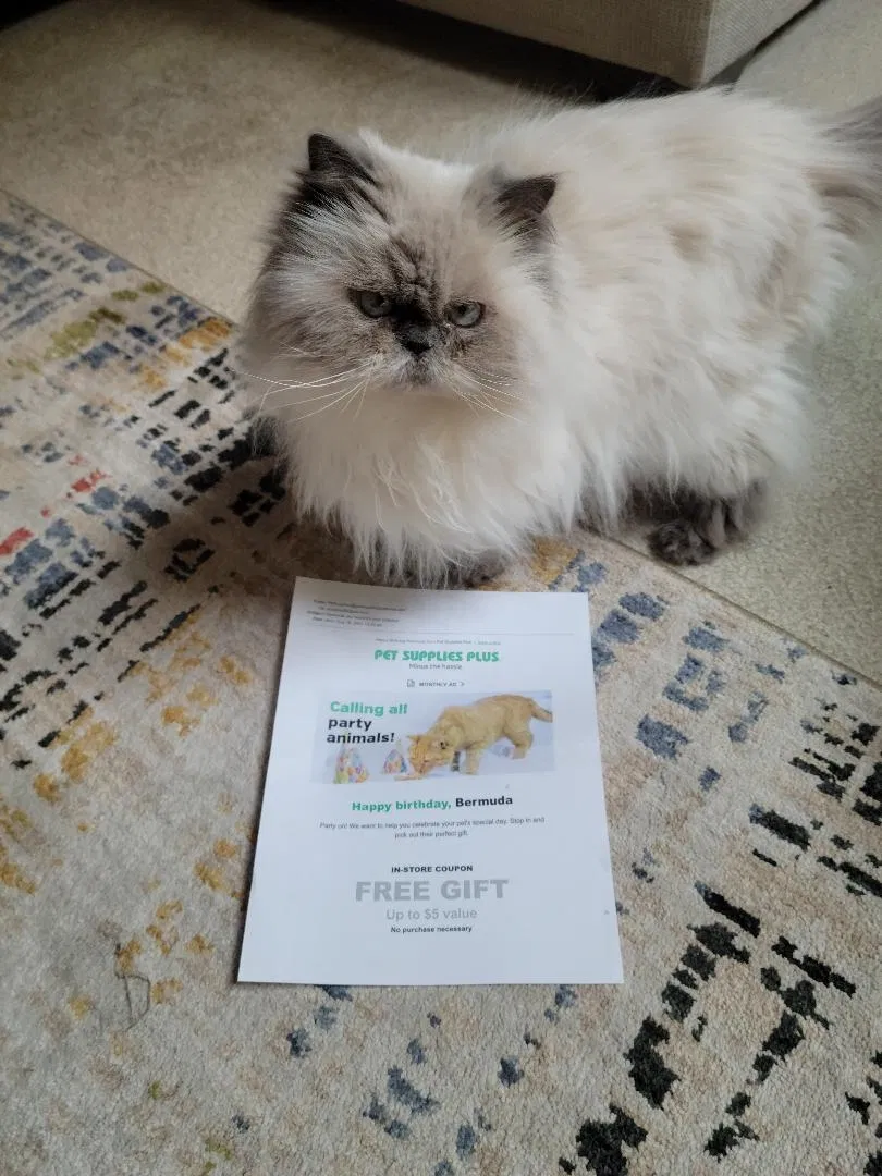 Lost cat in Shawnee, KS, 66216