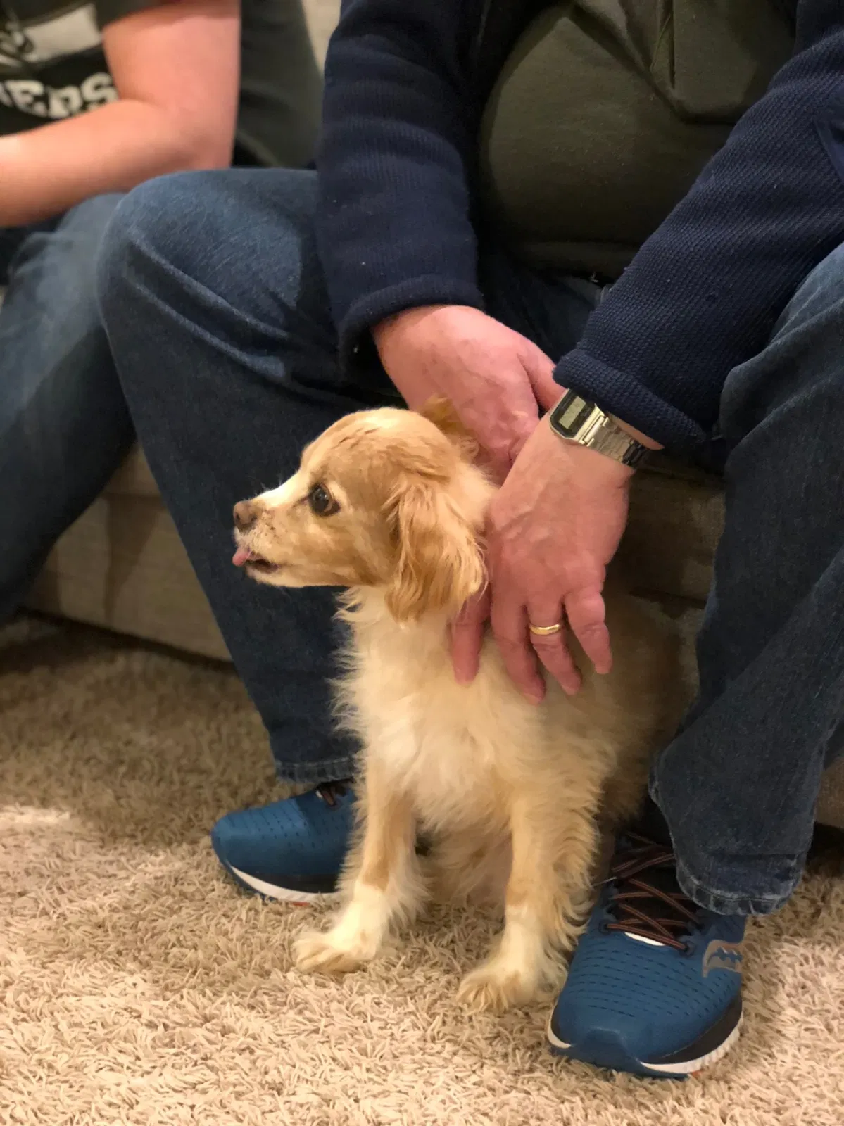 Lost dog in Winston Salem, NC, 27106