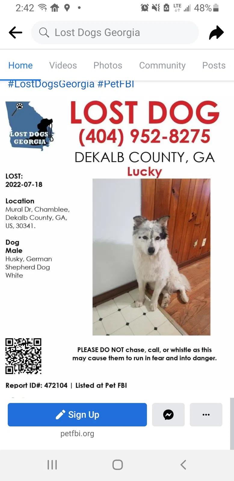 Lost dog in Atlanta, GA, 30341