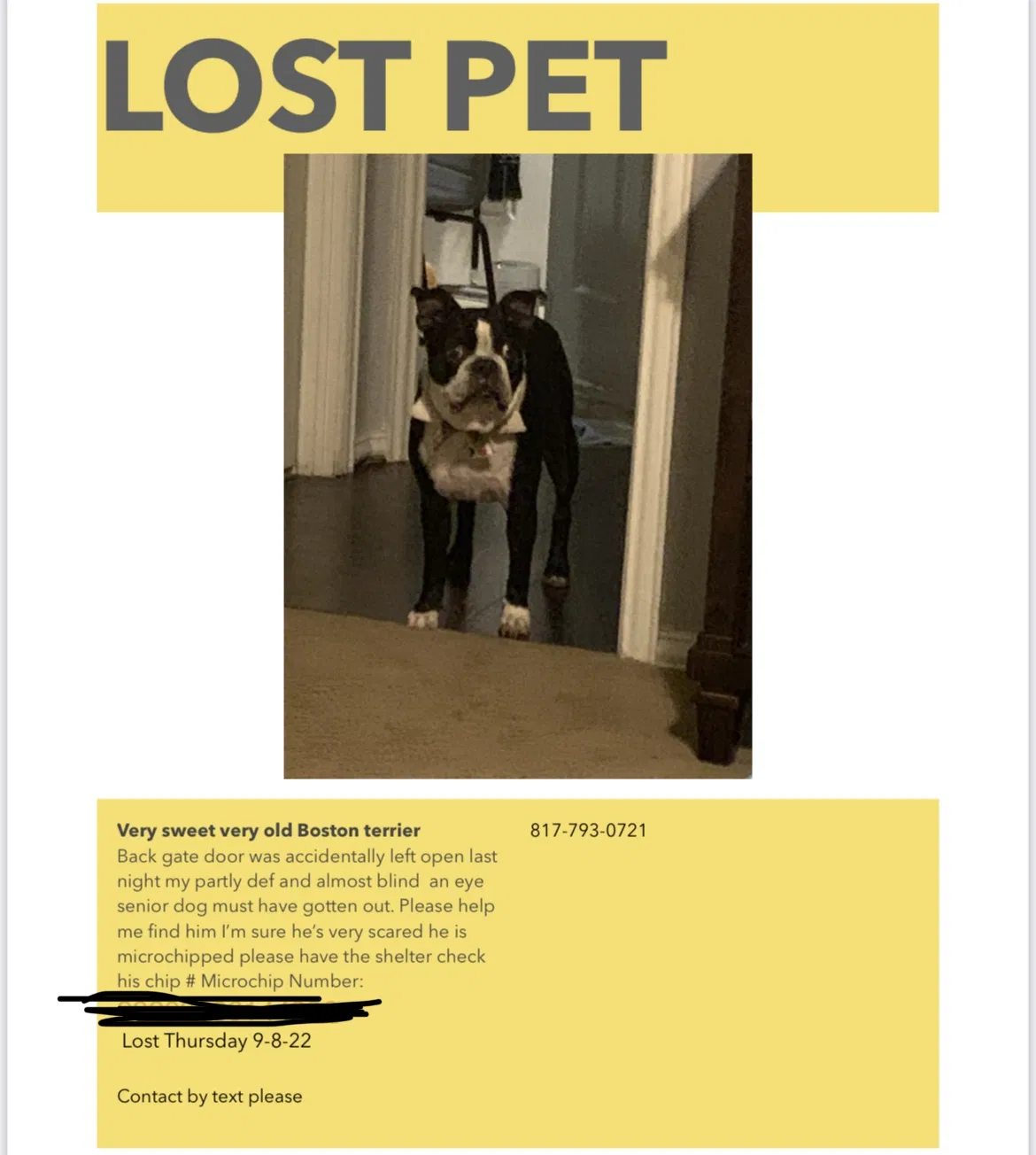 Lost dog in Fort Worth, TX, 76137