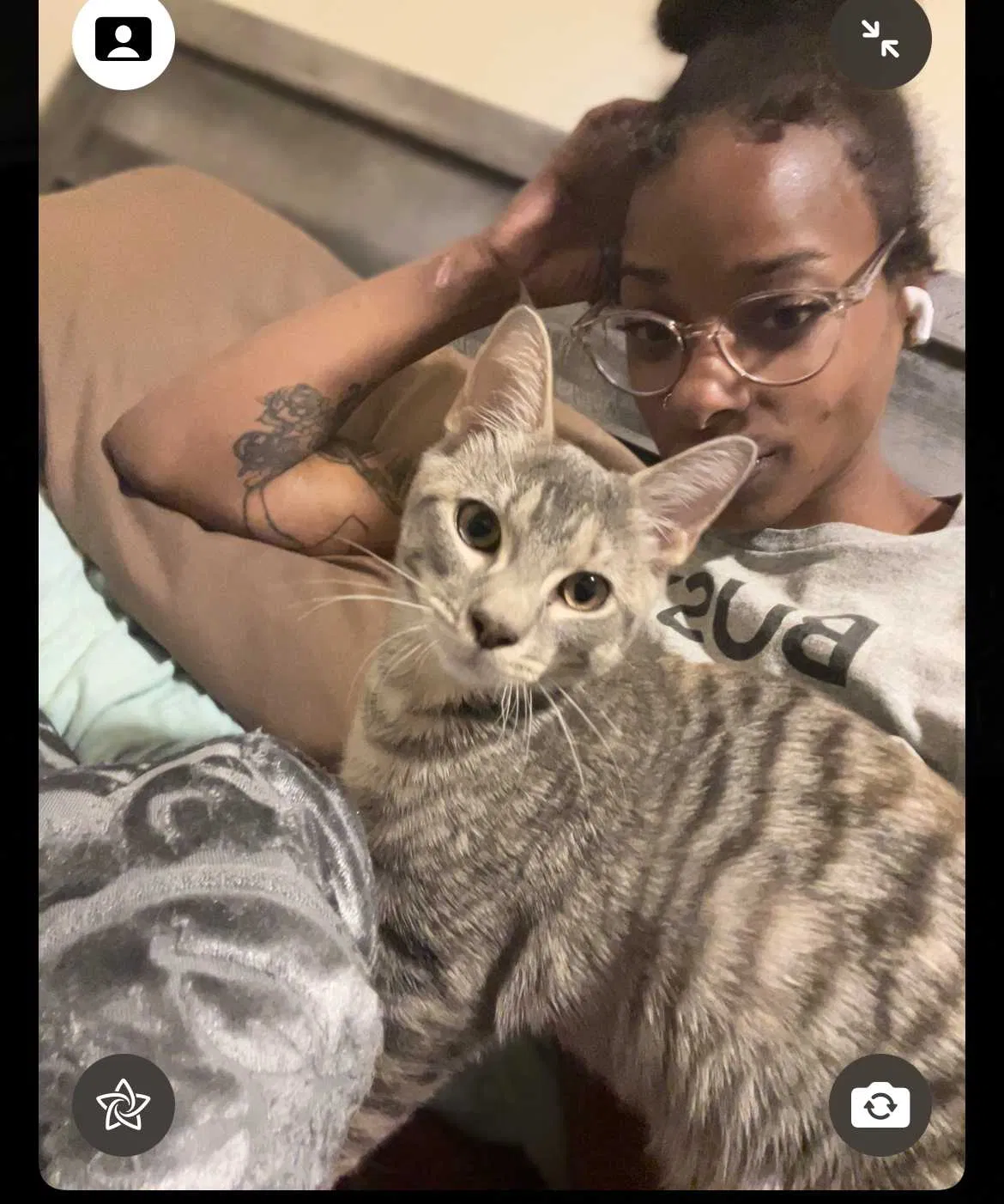Lost cat in Providence, RI, 2907