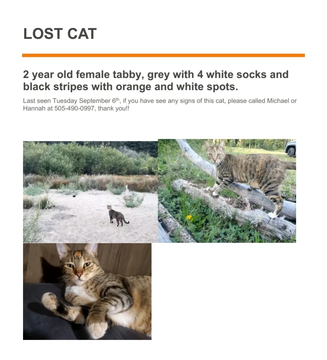Lost cat in Pauma Valley, CA, 92061