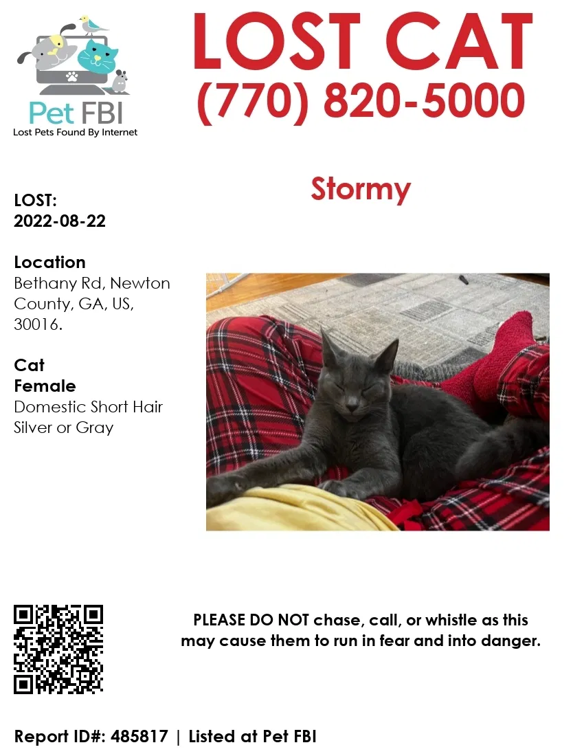 Lost cat in Covington, GA, 30016