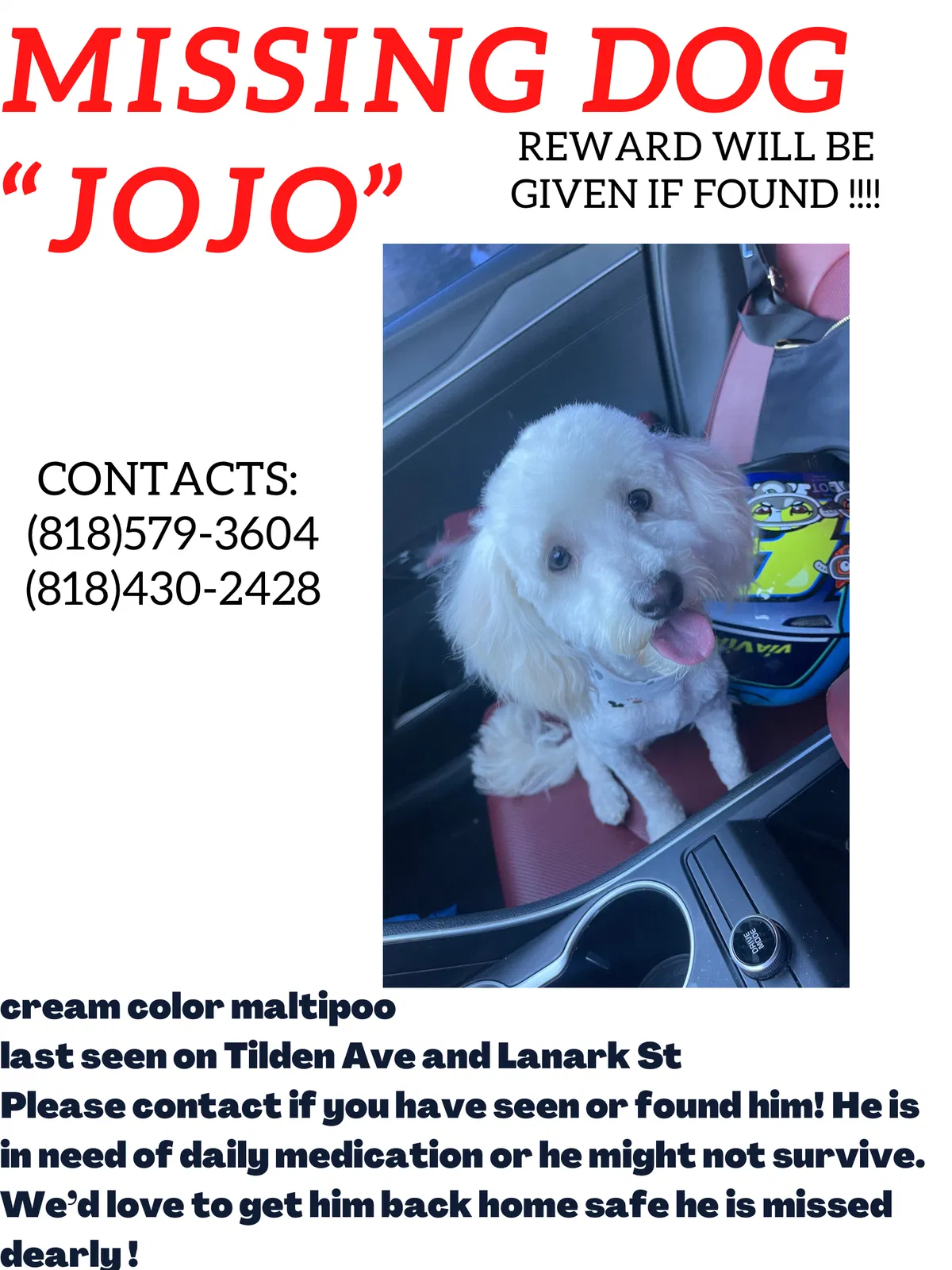 Lost dog in Panorama City, CA, 91402