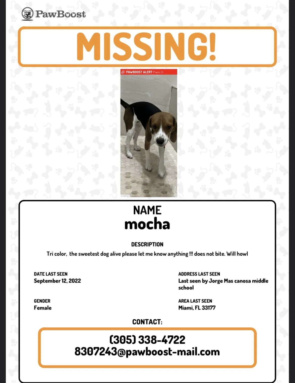Lost dog in Miami, FL, 33177