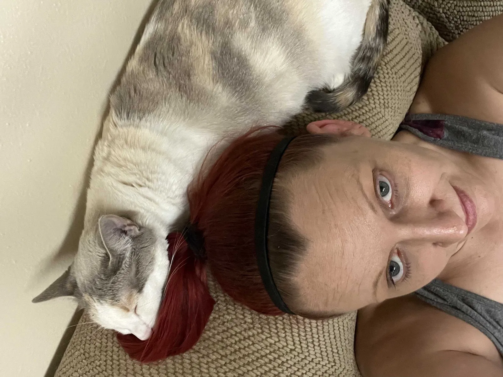 Lost cat in Denton, TX, 76201