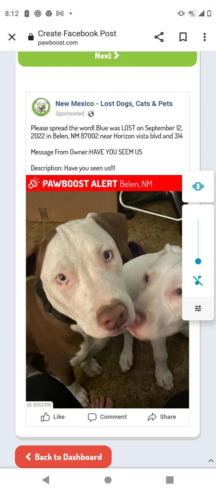 Lost dog in Belen, NM, 87002