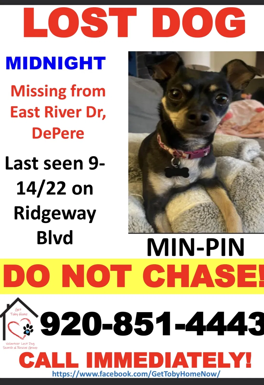 Lost dog in De Pere, WI, 54115