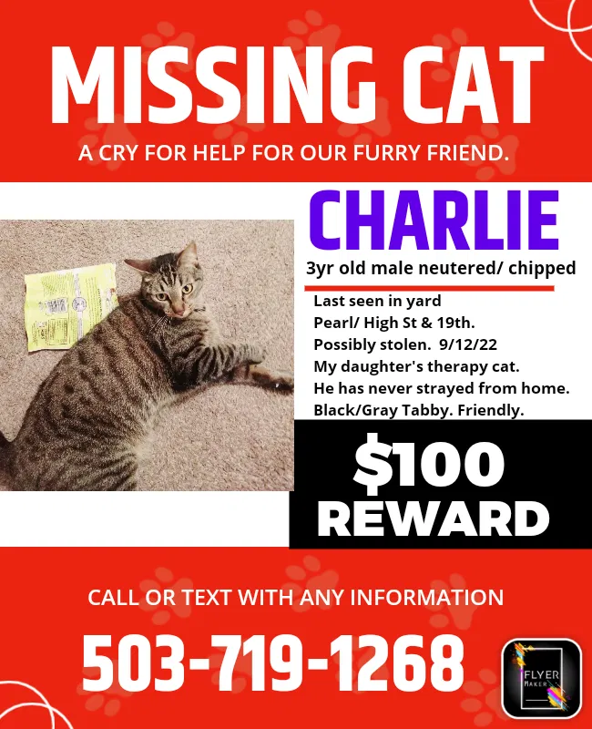 Lost cat in Eugene, OR, 97401
