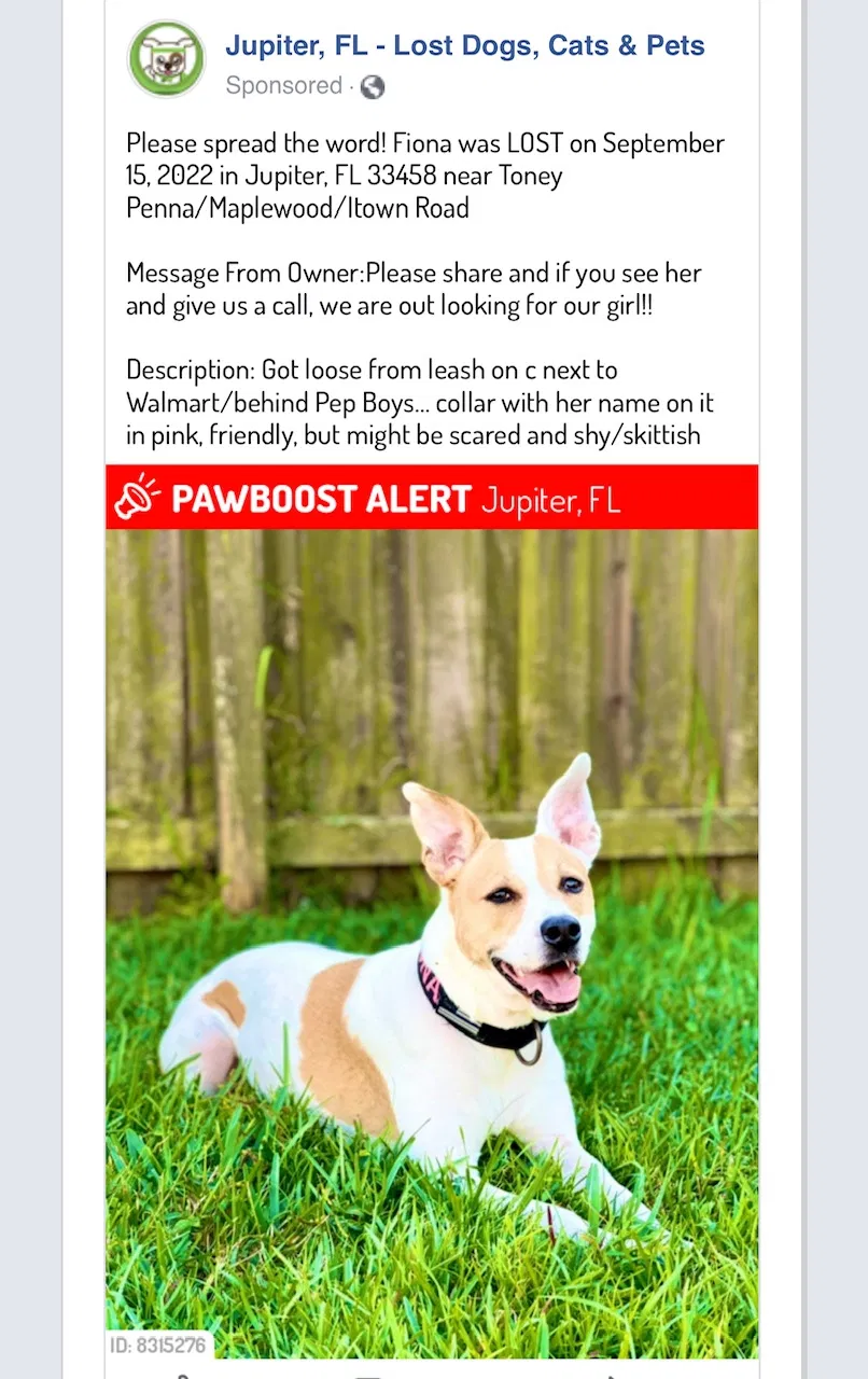 Lost dog in Jupiter, FL, 33458