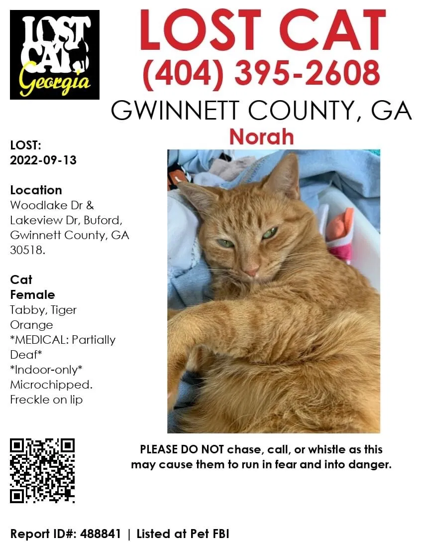 Lost cat in Buford, GA, 30518