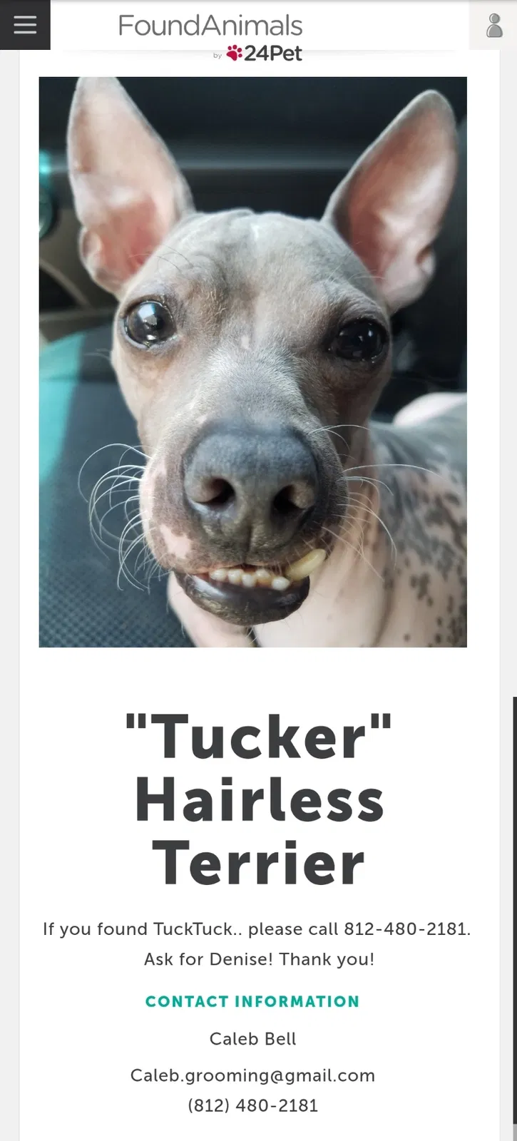 Lost dog in Newburgh, IN, 47630