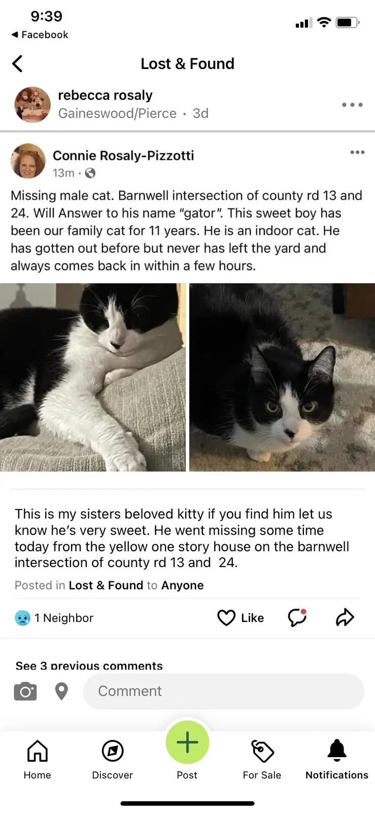 Lost cat in Fairhope, AL, 36532