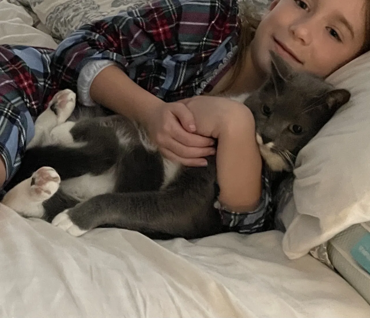 Lost cat in Flower Mound, TX, 75028