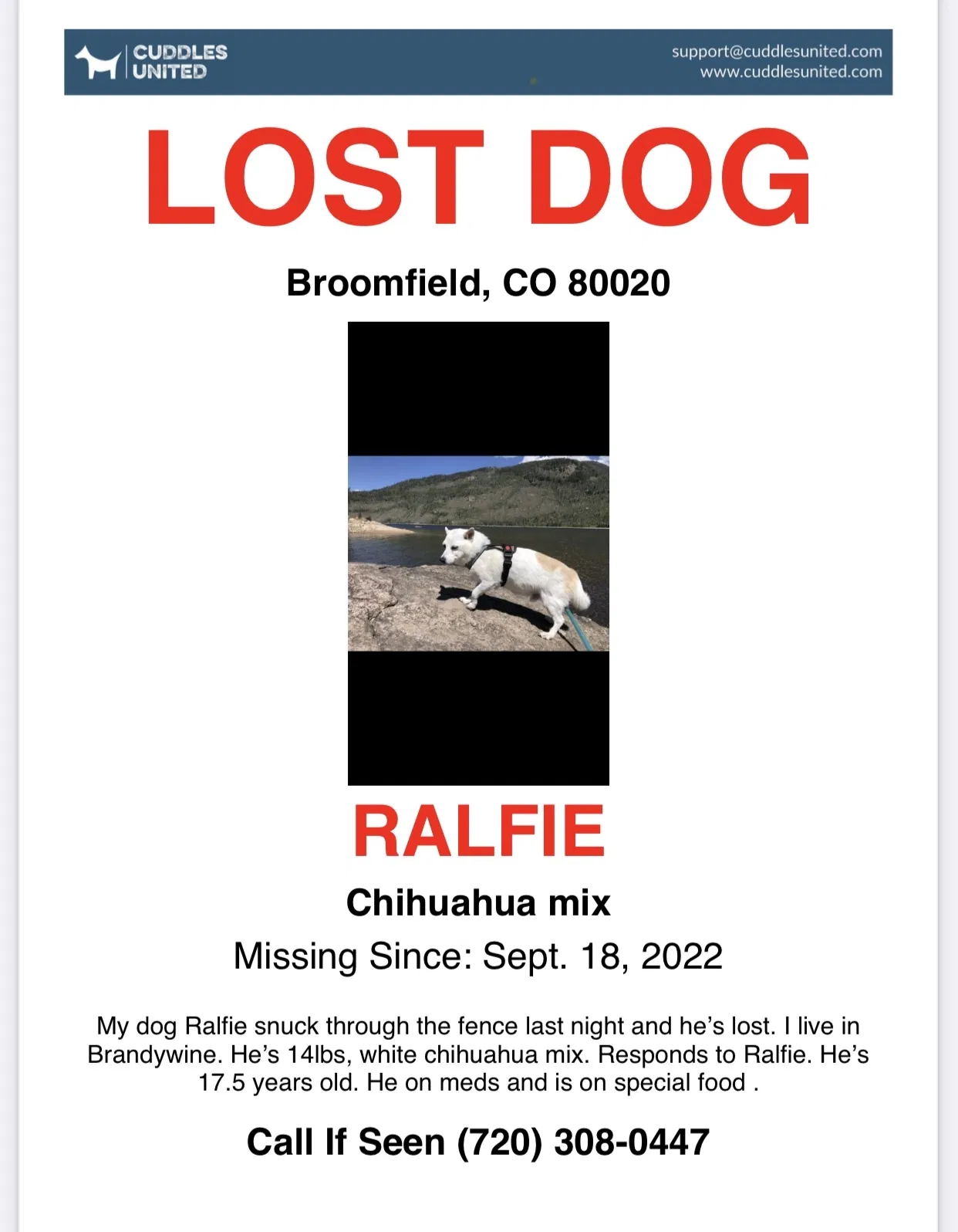 Lost dog in Broomfield, CO, 80020